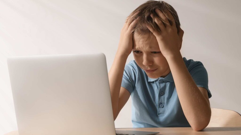 Online Risks for Individuals with ASD