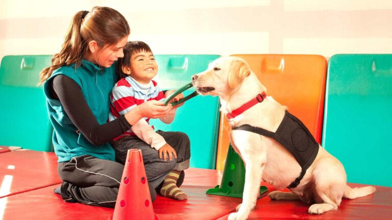 Pet Therapy for Autism: Exploring 8 Benefits of Animal-Assisted Therapy
